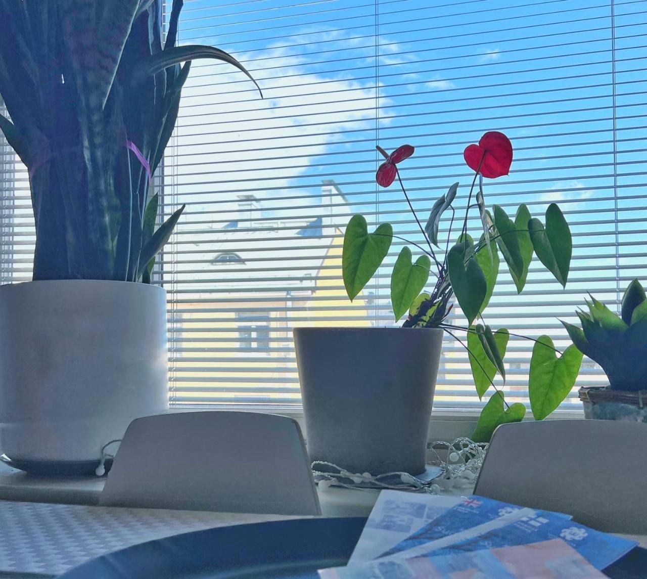 Scandinavian Desing Home 37 City Center In Kamppi เฮลซิงกิ ภายนอก รูปภาพ